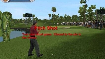 Tiger Woods PGA Tour 2002