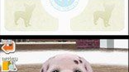 Nintendogs: Dalmata