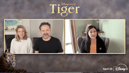 1500 giorni con le tigri: Mark Linfield e Vanessa Berlowitz raccontano come hanno realizzato il documentario Tiger