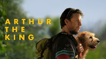 Arthur the King: la commovente storia vera dell'amicizia fra un uomo e un cane randagio