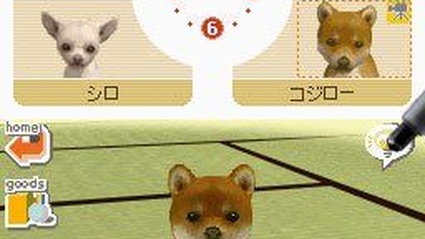 Nintendogs