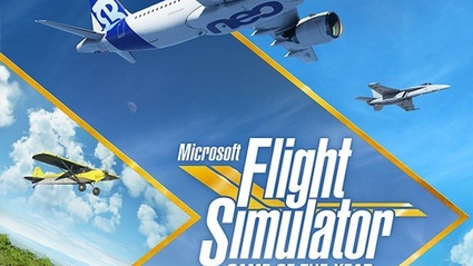 Microsoft Flight Simulator