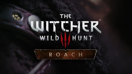 Project R.O.A.C.H. - il controller/cavallo di The Witcher
