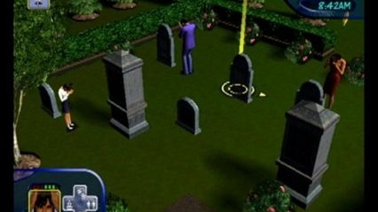 The Sims