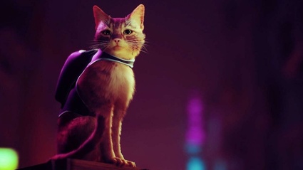 Anteprima Stray: Annapurna ci guida nell'universo felino del futuro