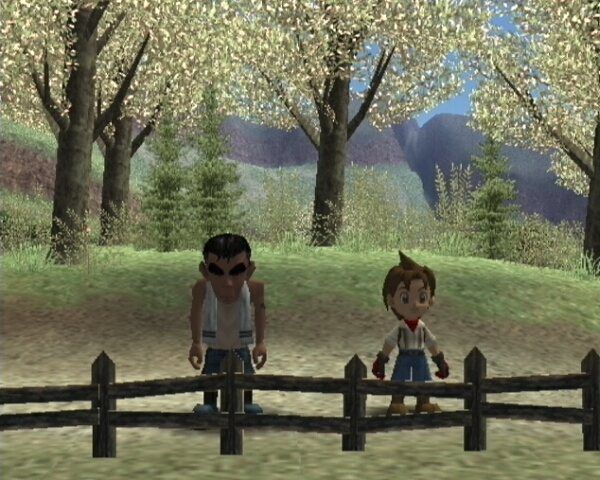 Harvest Moon a Wonderful Life special edition