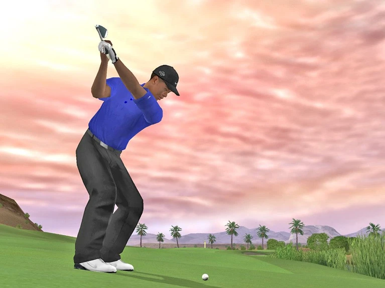 Tiger Woods PGA Tour 07