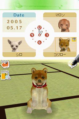 Nintendogs