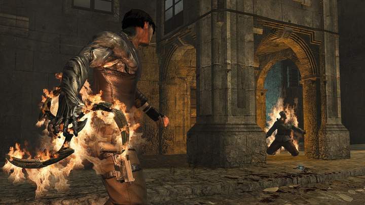 Dark Sector