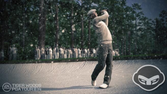 Tiger Woods PGA Tour 14