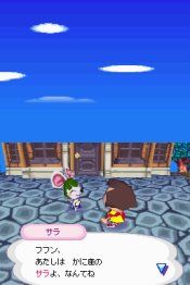 Animal Crossing Wild World