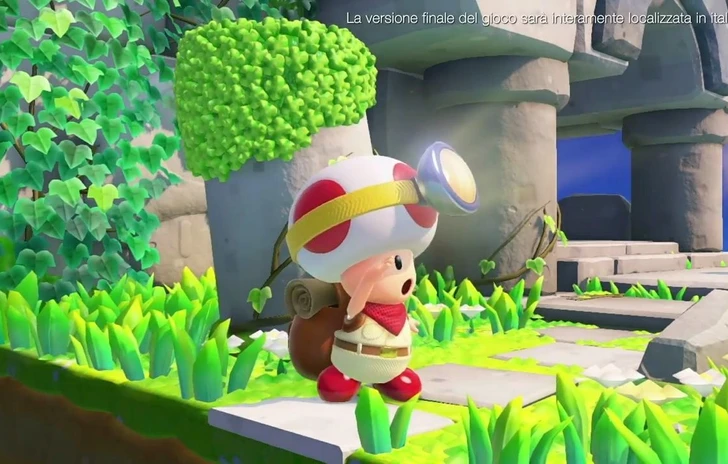 Toad non andrà in cerca di tesori da solo