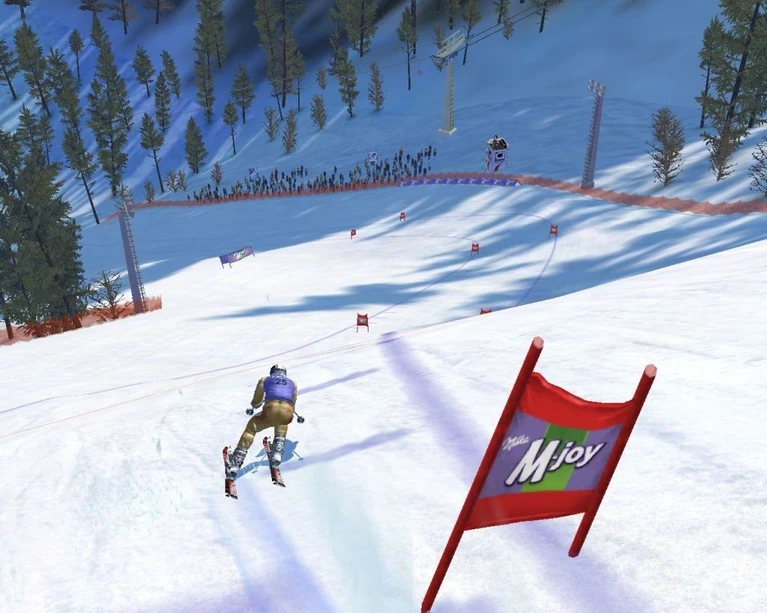 Ski Racing 2006