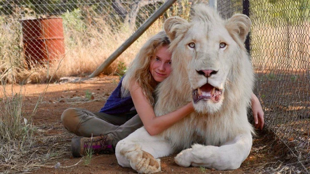 mia e il leone bianco trailer ufficiale italiano