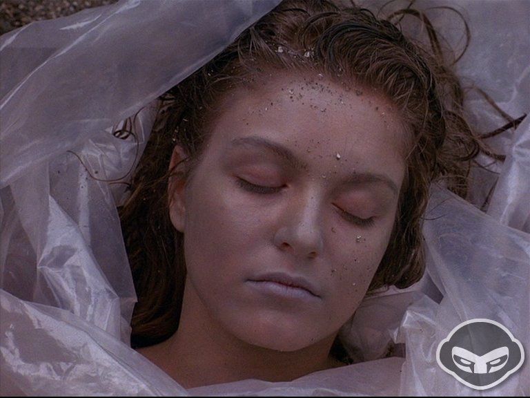 I Segreti di Twin Peaks