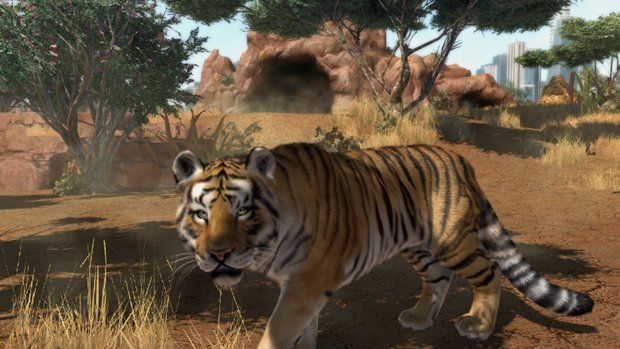 Zoo Tycoon tra veri Zoo e le Tigri di Sumatra