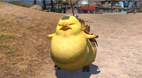 Fat Chocobo corre su Final Fantasy XIV