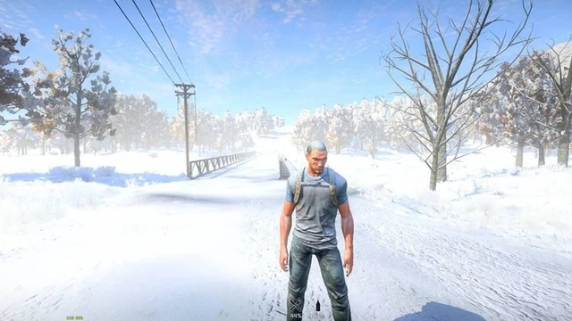 Mostra la neve di H1Z1