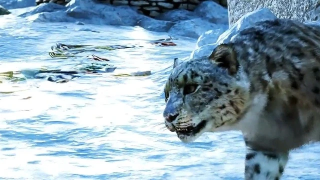 Nuovo video sulla geografia di Far Cry 4