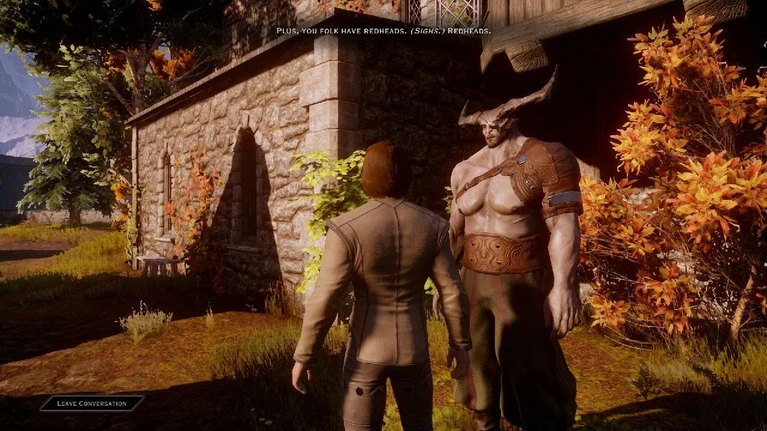 Poche ciance in Dragon Age E un bug