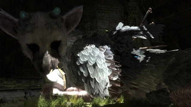 Ueda dice che The Last Guardian è in lavorazione