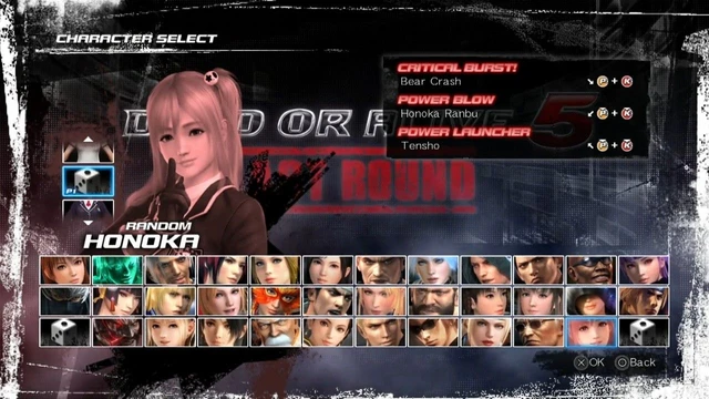 Honoka in azione in DoA 5 Last Round