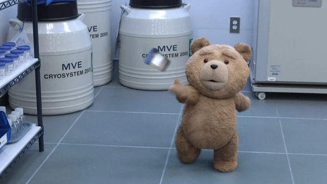 Immagini e trailer italiano per Ted 2!