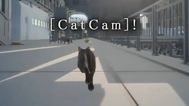 La CatCam di Final Fantasy XV in presa diretta