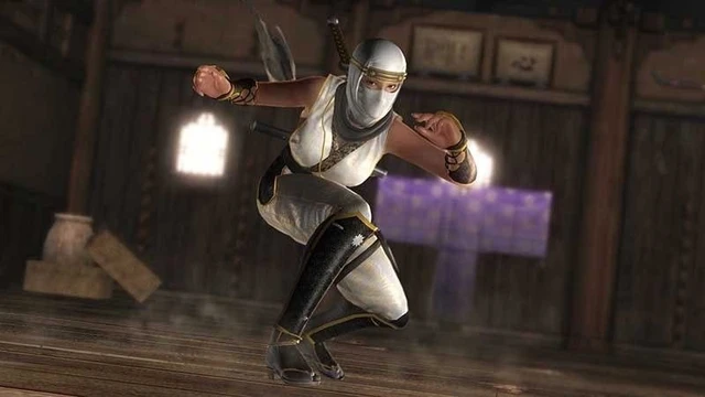 Dieci nuovi costumi ninja per  Dead or Alive 5: Last Round in Giappone