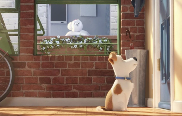 Pets  Vita da Animali parla italiano Ecco teaser trailer poster e le prime immagini dal film