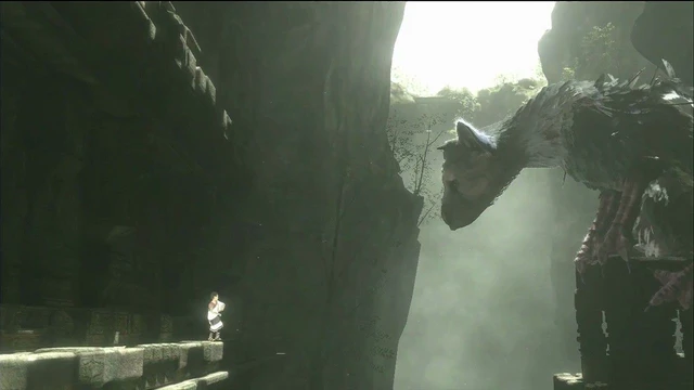 Una comunicazione migliore per The Last Guardian, rispetto a quella di Ico e Shadow of the Colossus