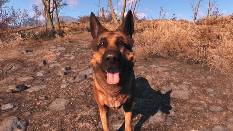 Dogmeat e gli altri compagni in Fallout 4