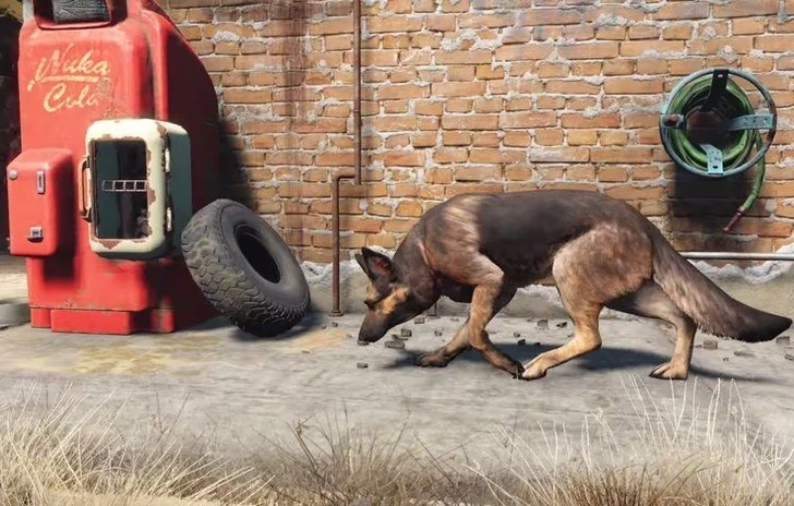 Un modder inserisce il suo cane in Fallout 4