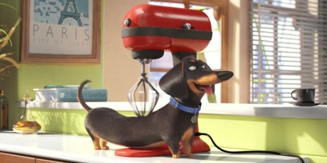 Disponibile il nuovo trailer di Pets - Vita da Animali