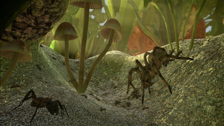 Ant Simulator è stato cancellato Tutti i soldi di kickstarter spesi in alcol e spogliarelliste