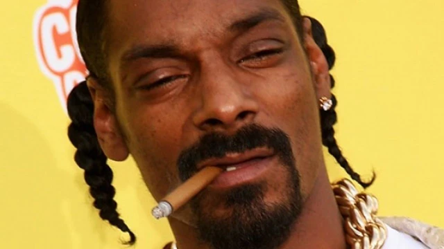 Annunciato il videogioco Way of the Dogg