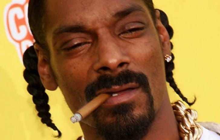 Annunciato il videogioco Way of the Dogg