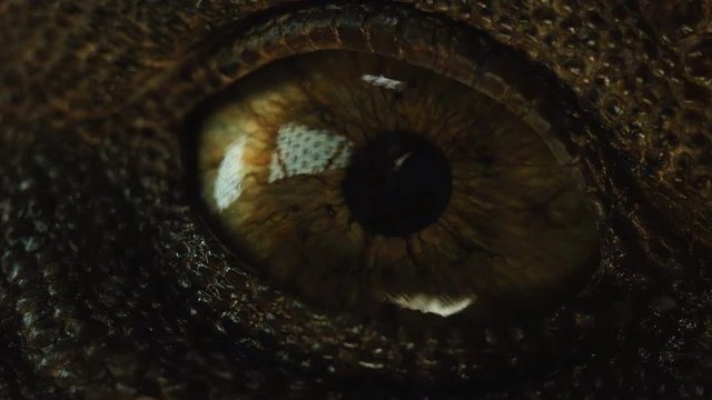 Secondo teaser per Jurassic World: Il mondo distrutto