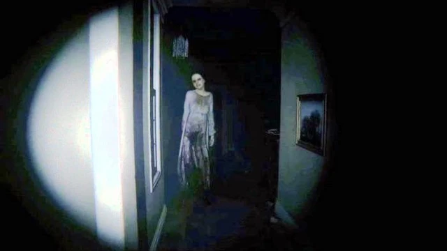 E' ufficiale: Konami non sta bloccando la demo di P.T