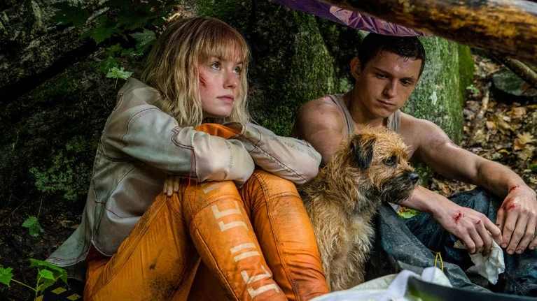 Chaos Walking  Daisy Ridley e il disastro commerciale del film