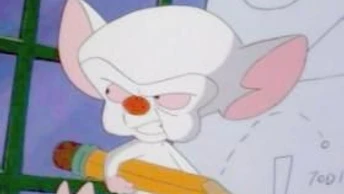 Pinky and The Brain World Conquestocchiellojpg