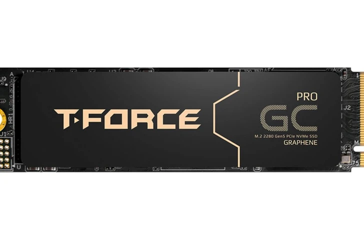 Teamgroup  SSD TForce GC Pro PCIe 50 dalle prestazioni elevate