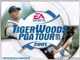 Tiger Woods PGA Tour 2001