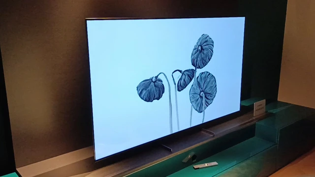 LG TV 2022 Maestri della luce e del colore