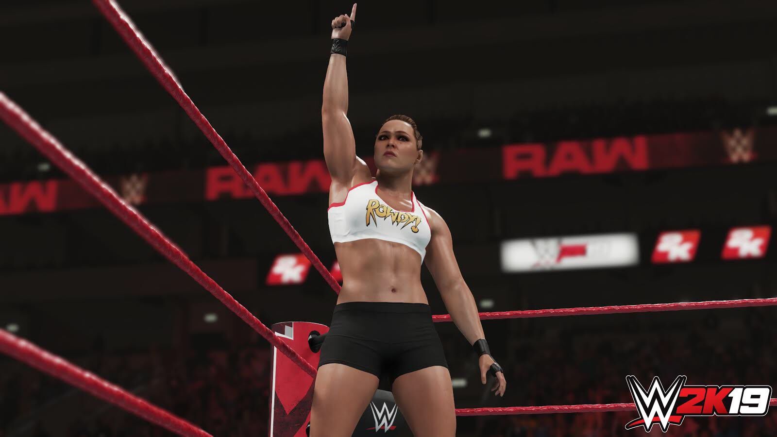 WWE 2K19