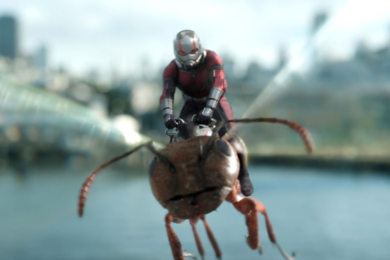 Ant-Man and the Wasp