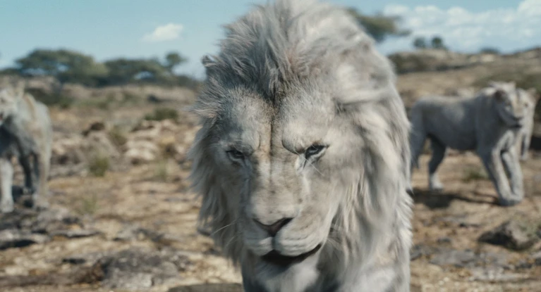 Mufasa, recensione:  Barry Jenkins regala un’anima al nuovo Re leone